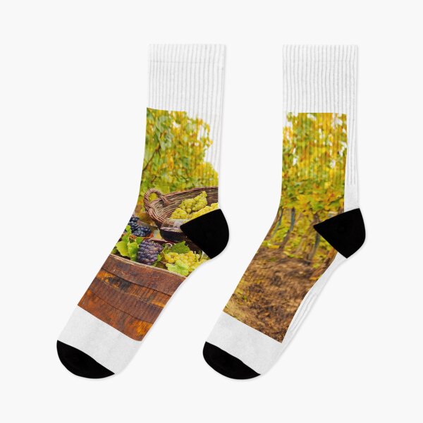Item preview, Vineyard with red and white wine autumn season designed and sold by goceris.