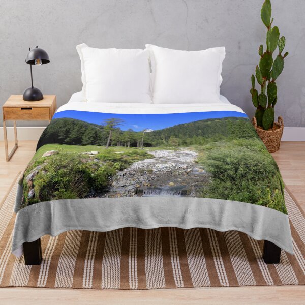 Item preview, The river in Piana del Gaver designed and sold by annalisa56.