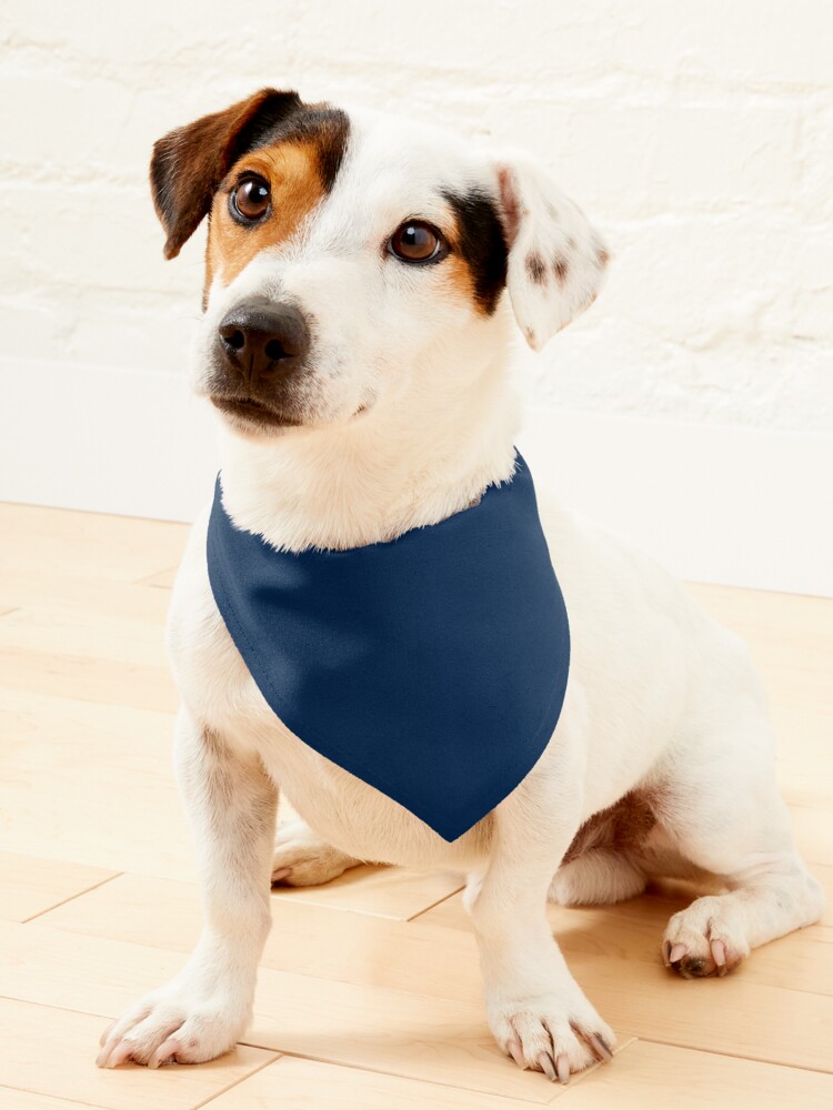 Dallas Cowboys Pet Bandana