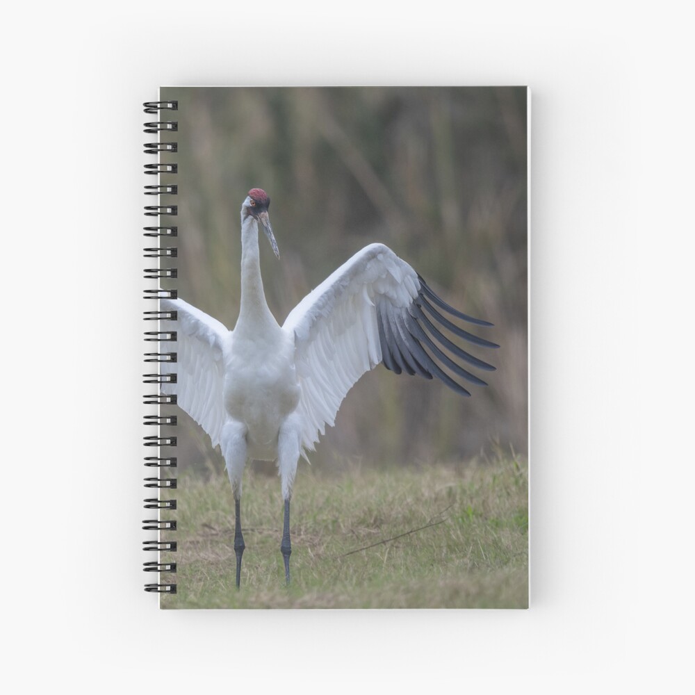 Item preview, Spiral Notebook designed and sold by rshankar8080.