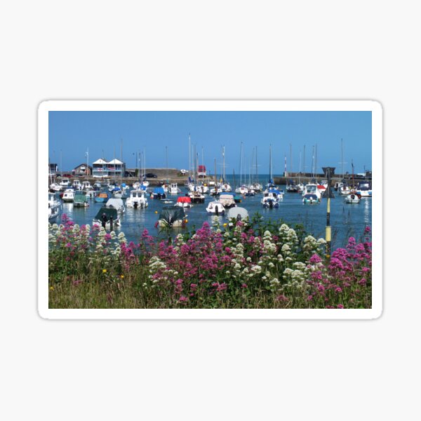 Harbour View Aberaeron Sticker