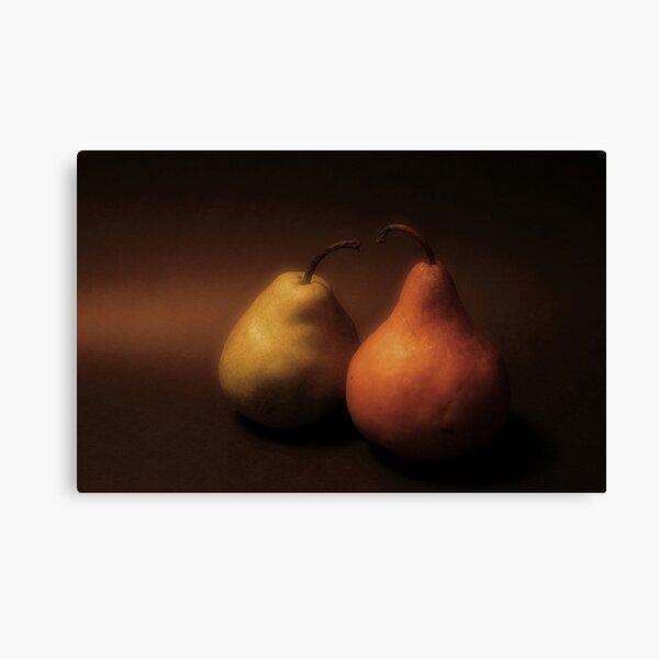 Renaissance Pears Canvas Print