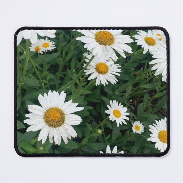 Item preview, Field of Daisies Photograph designed and sold by TinaNadeemArt.