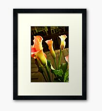 orange Framed Print