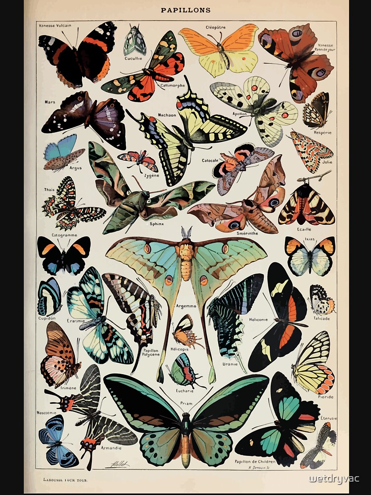 Adolphe Millot papillons pour tous by wetdryvac