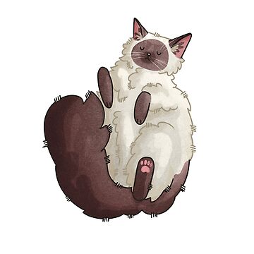 Artwork thumbnail, Ragdoll Cat by FelineEmporium