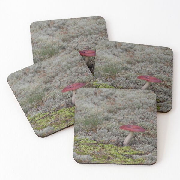 Item preview, Mushroom designed and sold by carolmaia.