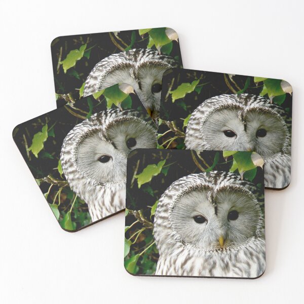 Item preview, Owl Photo (Ural Owl) designed and sold by PilgrimCraft.