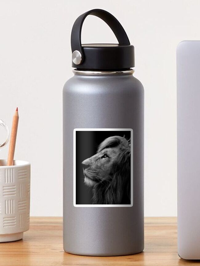 Detroit Lions Podcast Black Logo Stainless Steel Water Bottle