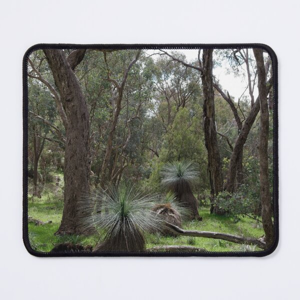 Item preview, Grass Trees in the Warby Ranges designed and sold by Linda Lees.
