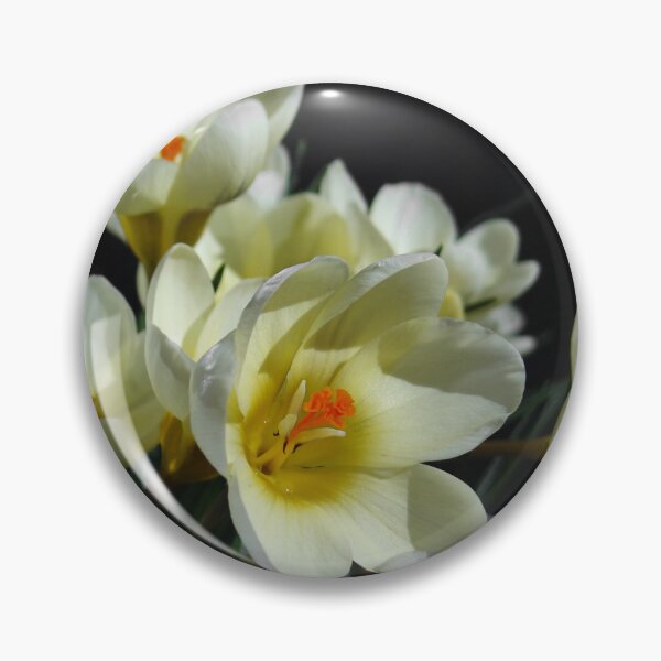 Item preview, Crocus Close Up designed and sold by PilgrimCraft.