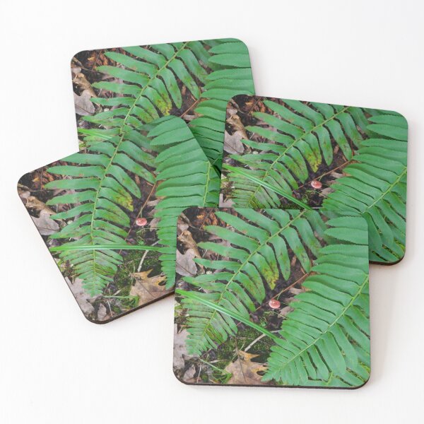 Item preview, Little mushroom nestled under fern leaves designed and sold by PowerfulPhotos.
