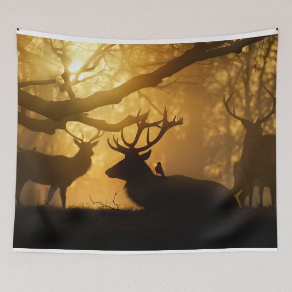 Item preview, Stags Thawing Out After A Cold Night designed and sold by Junkyardmax.