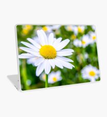 Alpine Daisy Laptop Skin