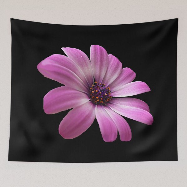 Item preview, Astra Purple - Purple Flower, African Daisy  designed and sold by artyfartypants.