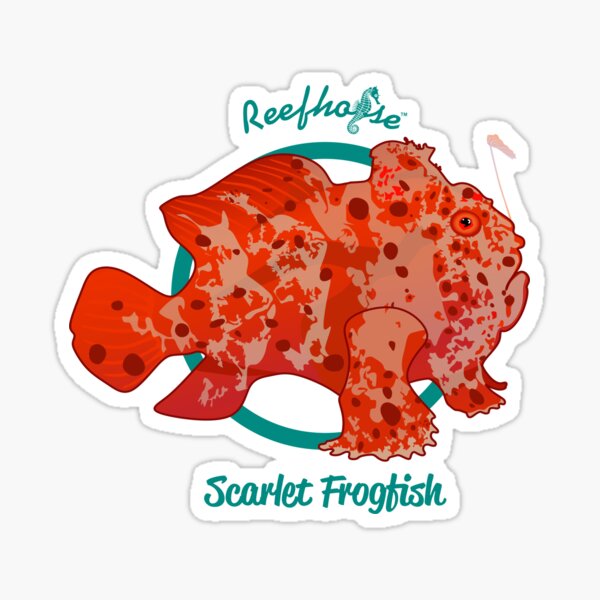 Scarlet Frogfish Sticker
