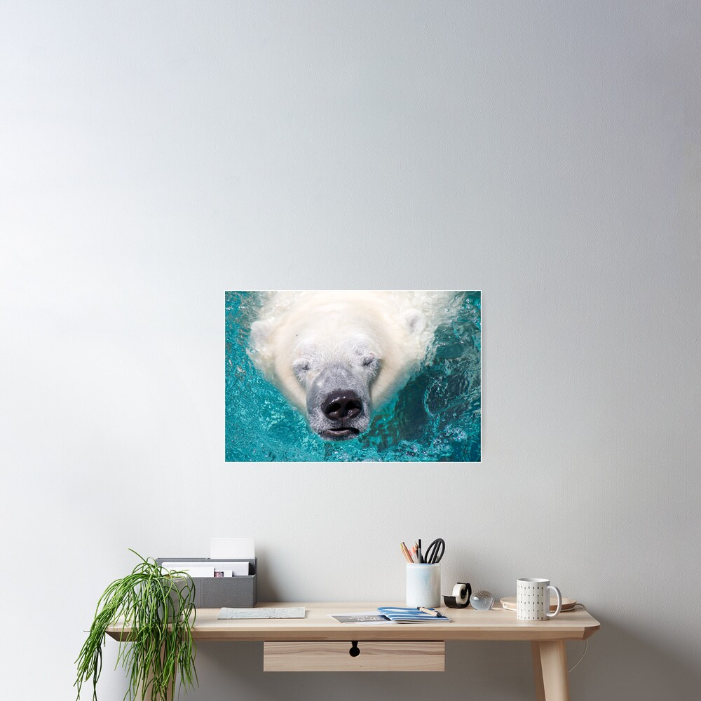 Surface Poster