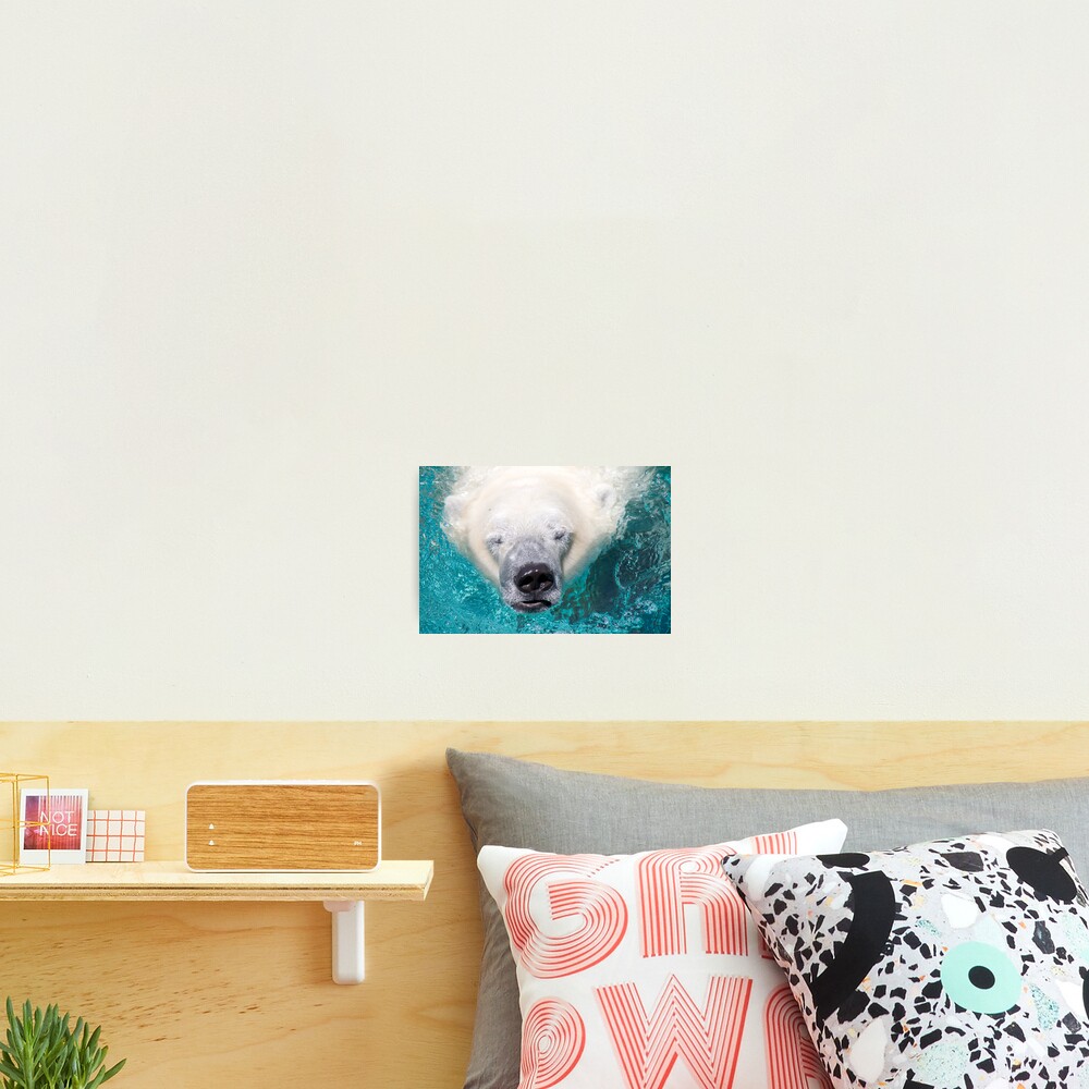 Surface Photographic Print
