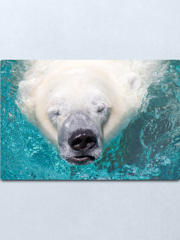 Alternate view of Surface Metal Print