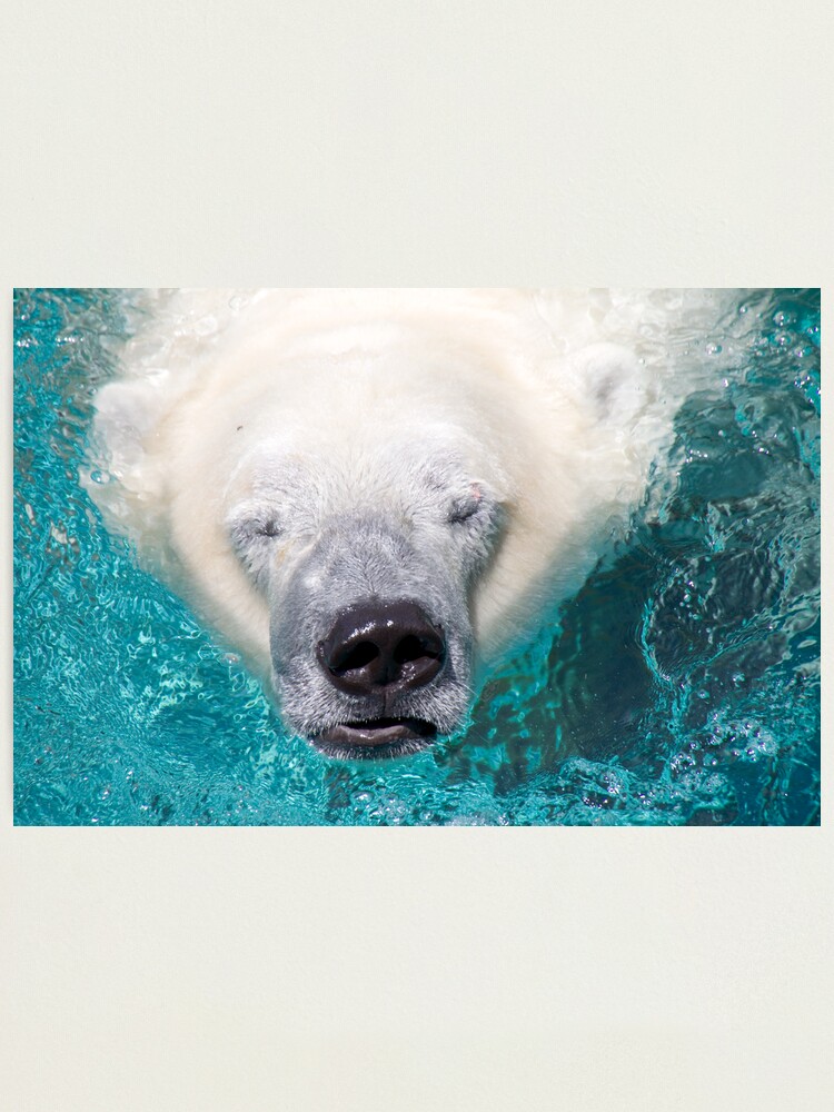 Alternate view of Surface Photographic Print