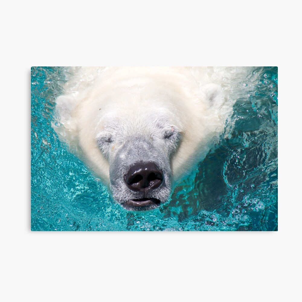 Surface Canvas Print