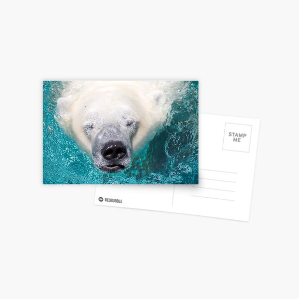 Surface Postcard