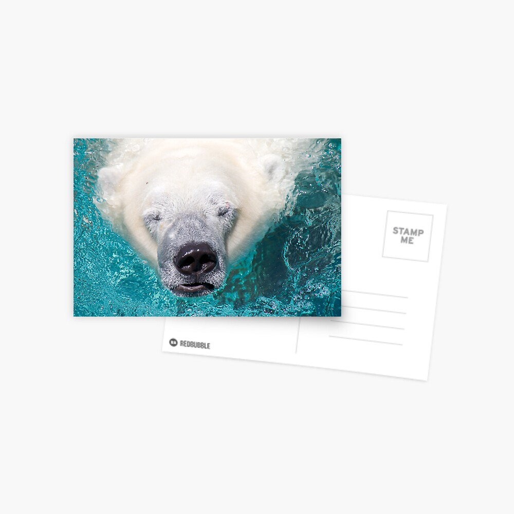 Surface Postcard