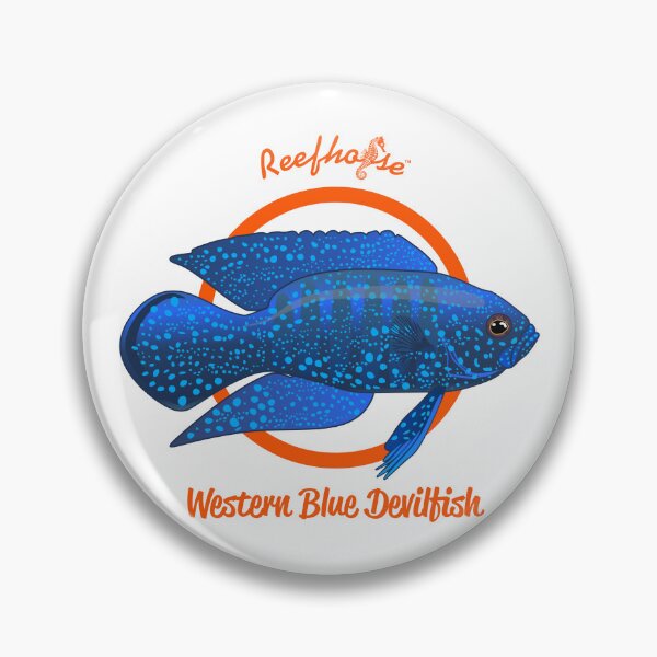 Item preview, Western Blue Devilfish designed and sold by KaplanCrypto.