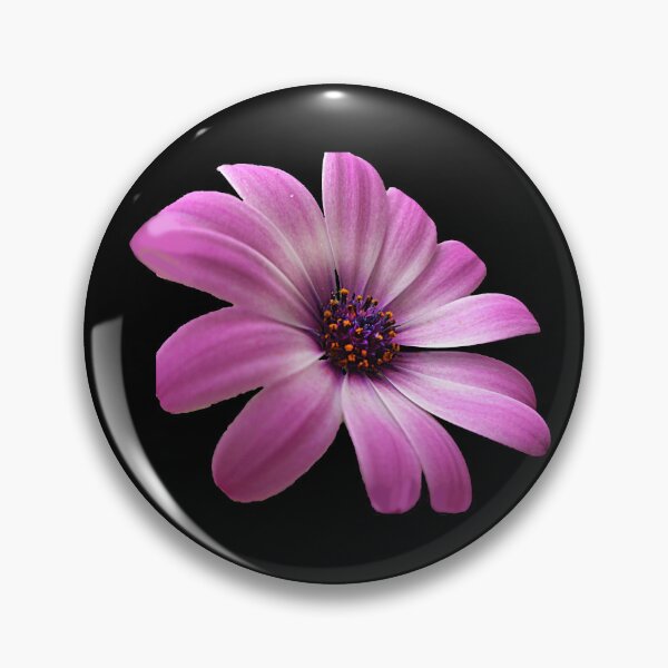Item preview, Astra Purple - Purple Flower, African Daisy  designed and sold by artyfartypants.