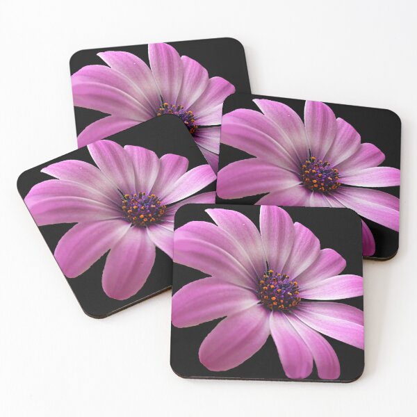 Item preview, Astra Purple - Purple Flower, African Daisy  designed and sold by artyfartypants.