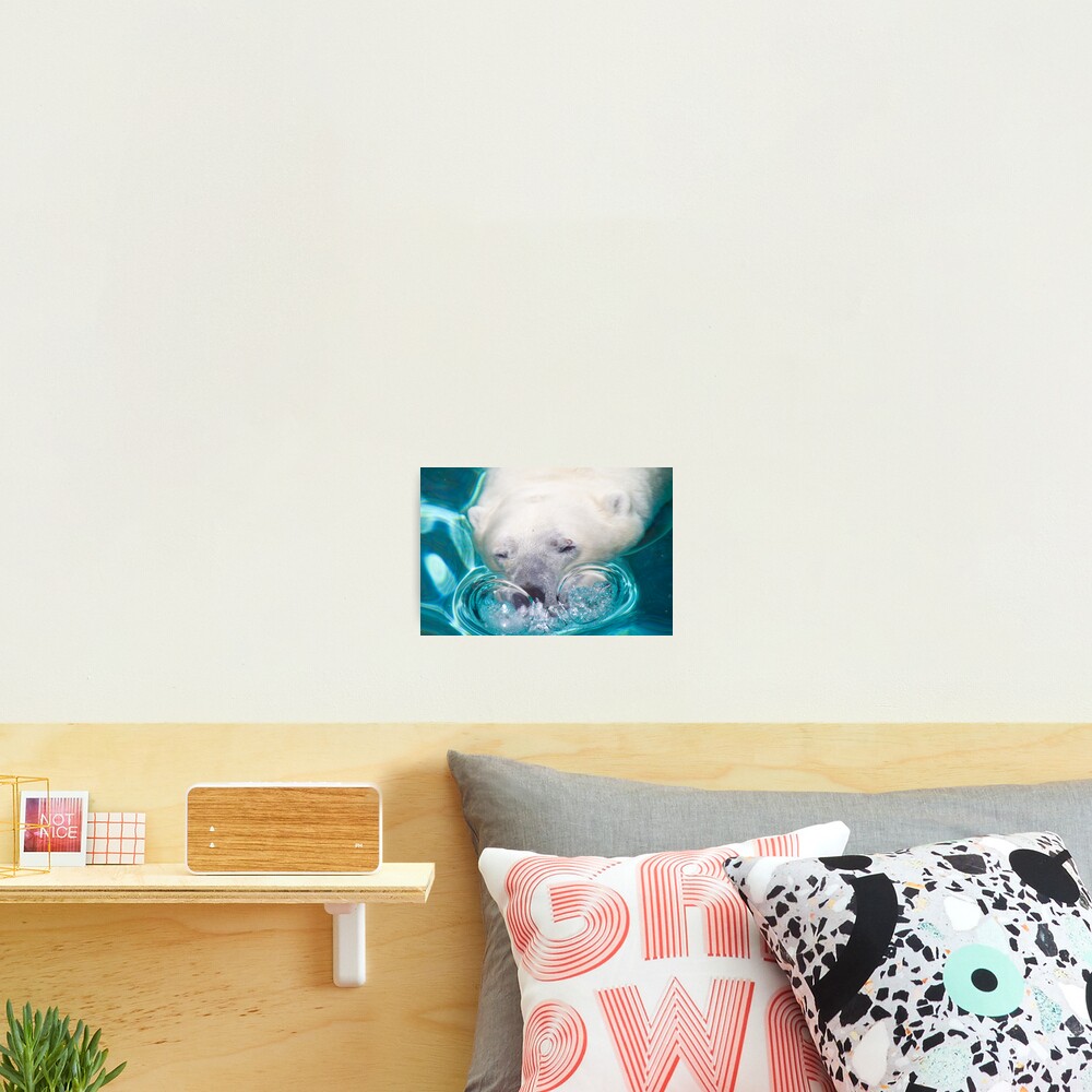 Bubbles Photographic Print