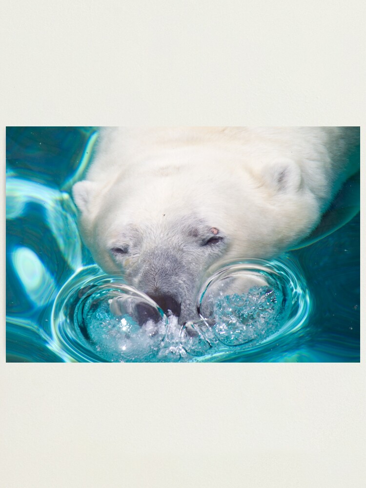 Alternate view of Bubbles Photographic Print