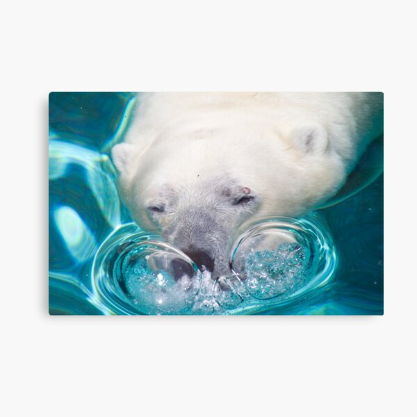 Bubbles Canvas Print