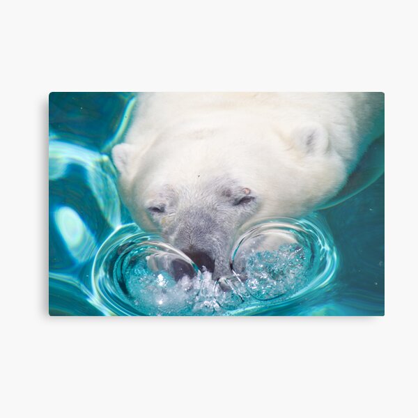 Bubbles Metal Print