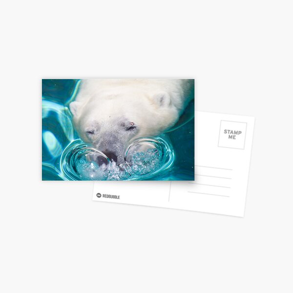 Bubbles Postcard