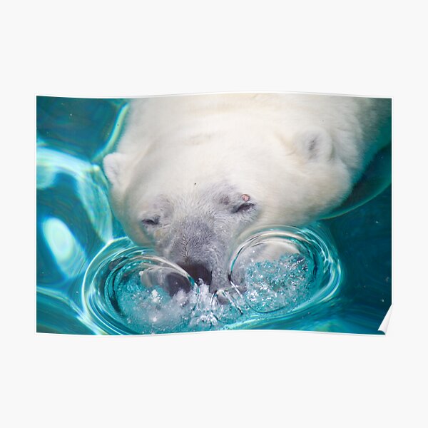 Bubbles Poster