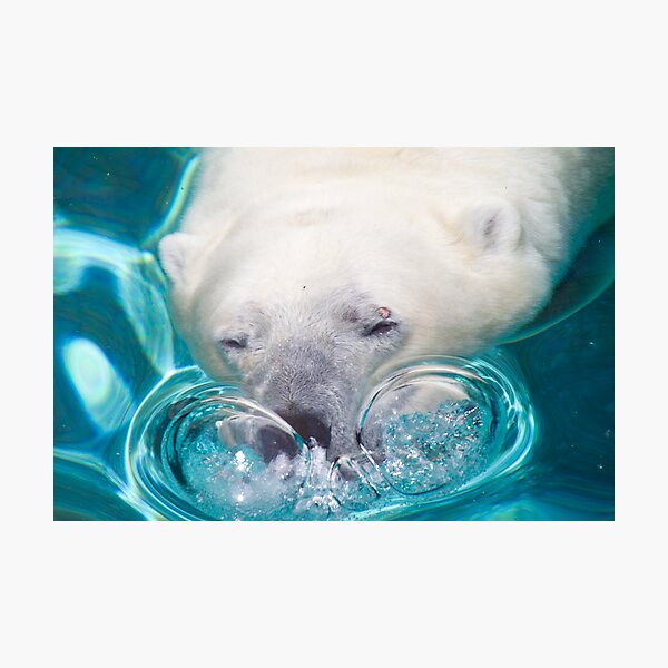 Bubbles Photographic Print