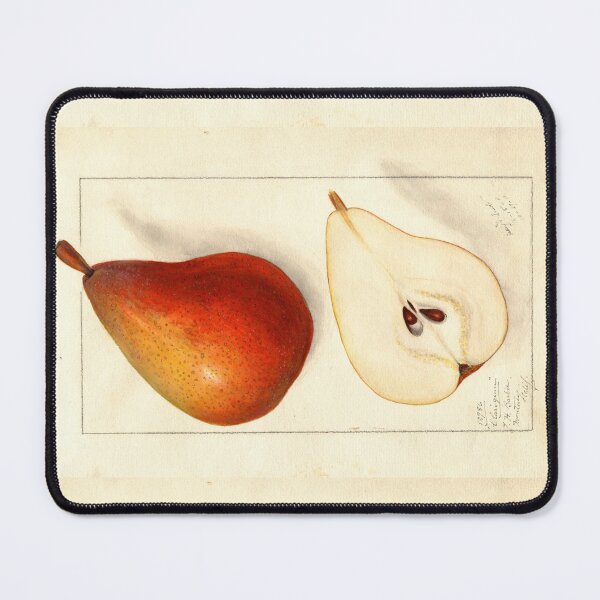 Item preview, Pomological Watercolor of Clairgeau Pears (Pyrus communis) designed and sold by Amanda1775.