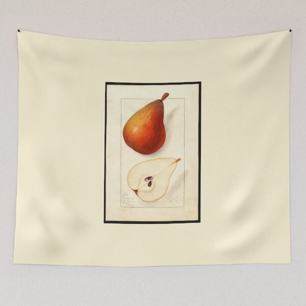 Item preview, Pomological Watercolor of Clairgeau Pears (Pyrus communis) designed and sold by Amanda1775.