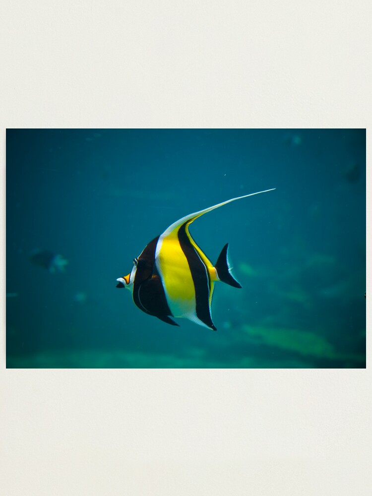 Alternate view of Wanda Photographic Print