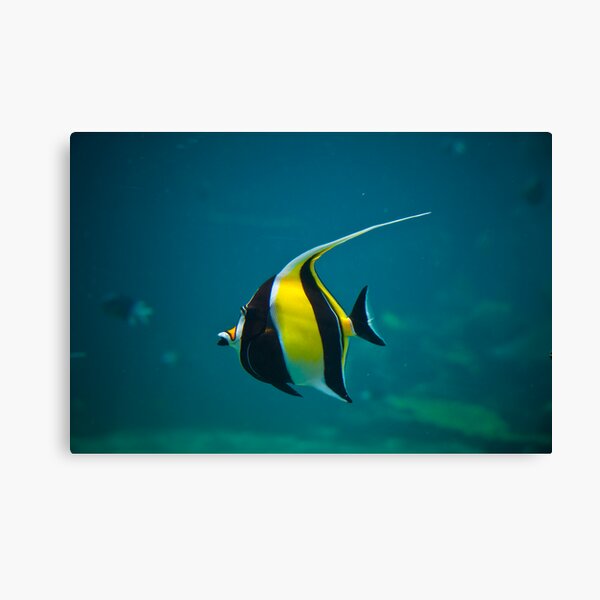 Wanda Canvas Print