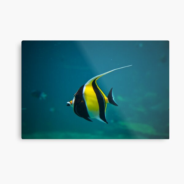 Wanda Metal Print