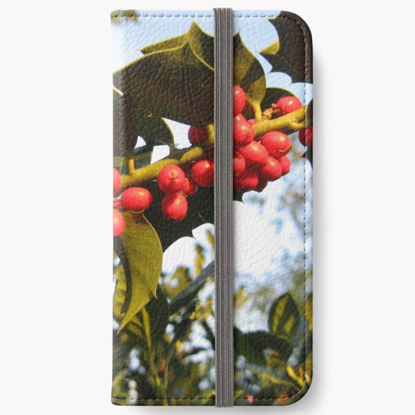 American Holly, Hawthorn,  haw, whitethorn iPhone Wallet