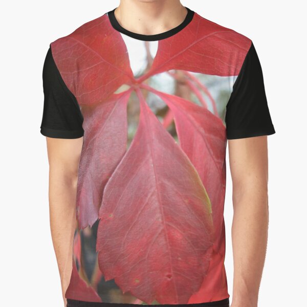 Leaf, red leaves Graphic T-Shirt