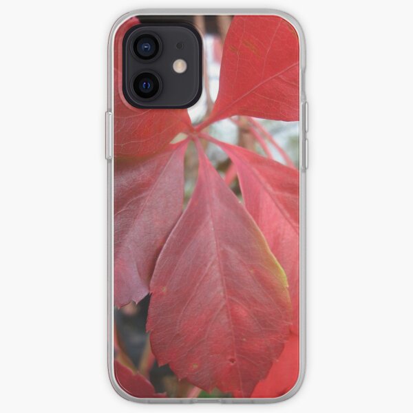 Leaf, red leaves iPhone Soft Case