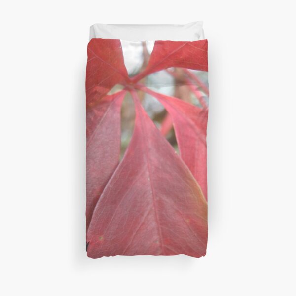 Leaf, red leaves Duvet Cover