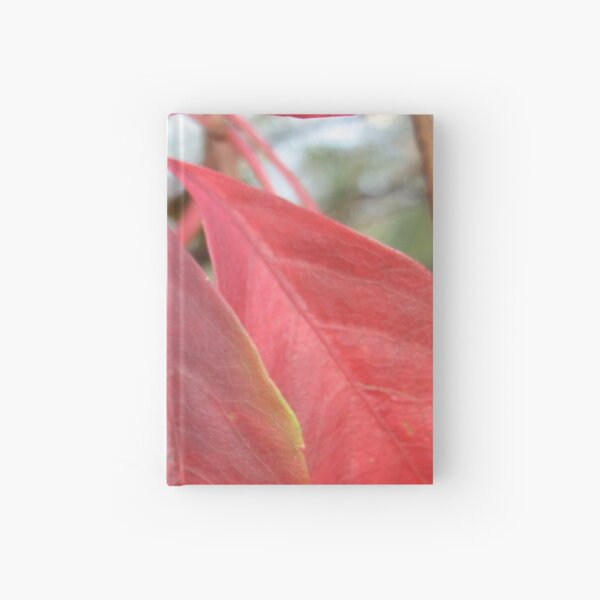 Leaf, red leaves Hardcover Journal