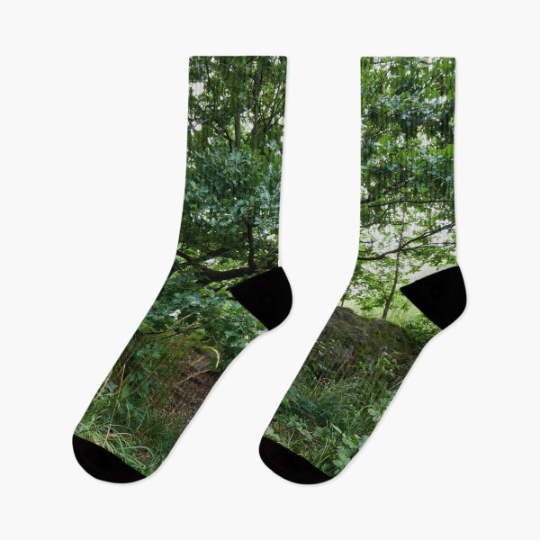Item preview, The Oak. Virkaniemi 12 designed and sold by Jouko Lehto Photography.
