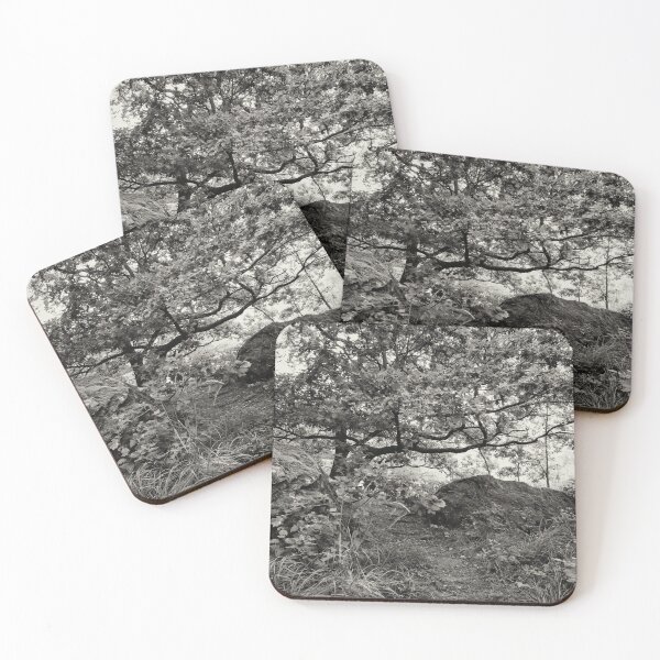 Item preview, The Oak. Virkaniemi 13 bw designed and sold by Jouko Lehto Photography.