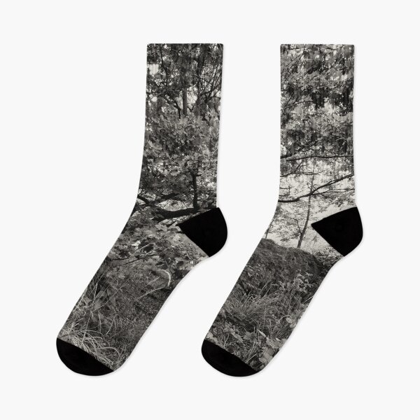 Item preview, The Oak. Virkaniemi 13 bw designed and sold by Jouko Lehto Photography.